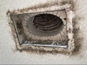 Mold in Air Ducts